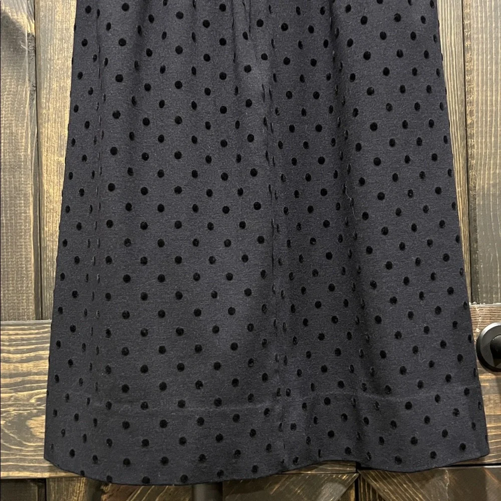 J. Crew Black Velvet Polka Dot Dress‎ S Ponte Preppy Dark Coquette Whimsigoth